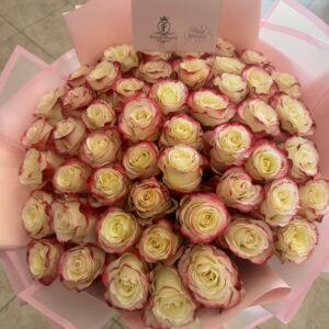 Pink-Edged Cream bouquet of 50 Roses 70sm